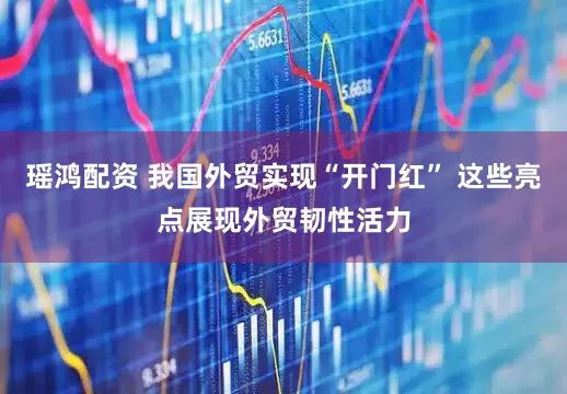 瑶鸿配资 我国外贸实现“开门红” 这些亮点展现外贸韧性活力