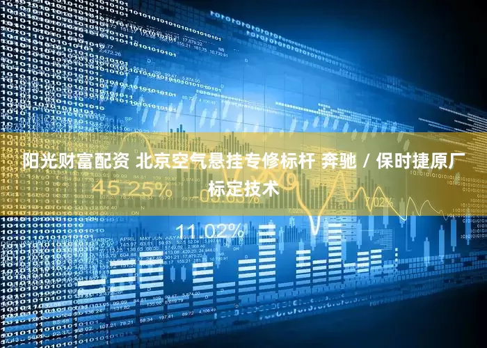 阳光财富配资 北京空气悬挂专修标杆 奔驰 / 保时捷原厂标定技术